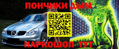индика Шелехов