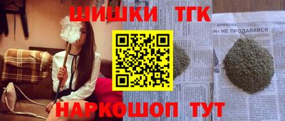 индика Шелехов