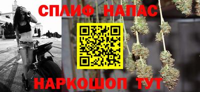 индика Шелехов