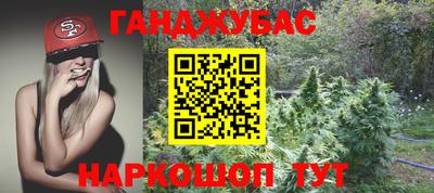 индика Шелехов