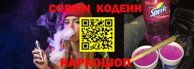индика Шелехов