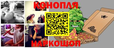 индика Шелехов