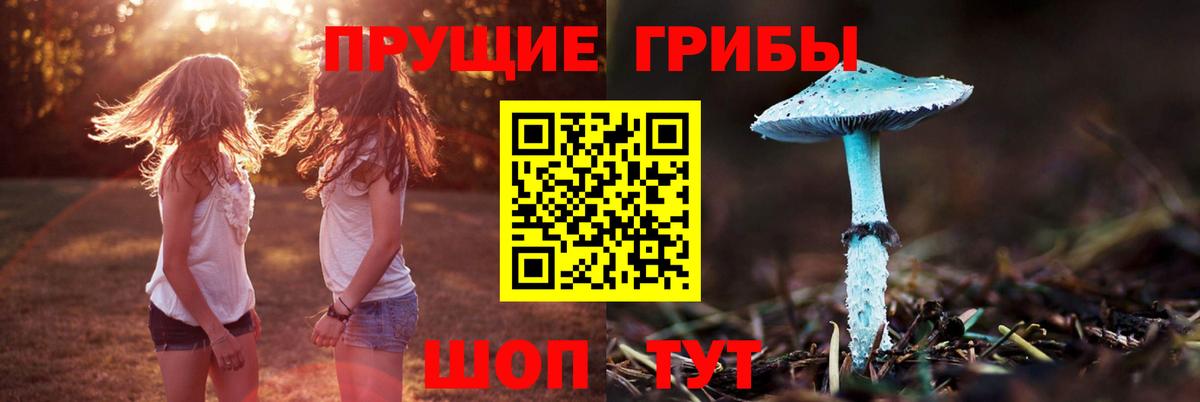 Галлюциногенные грибы мухоморы  Вход с VPN  Батайск  Псилоцибиновые грибы MAGIC MUSHROOMS 